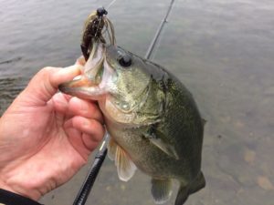 またまた秋の北湖へ 琵琶湖バス釣りおかっぱり 10 17 琵琶湖 バスライフ